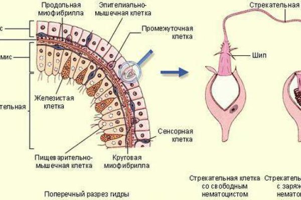 Кракен онион зеркало