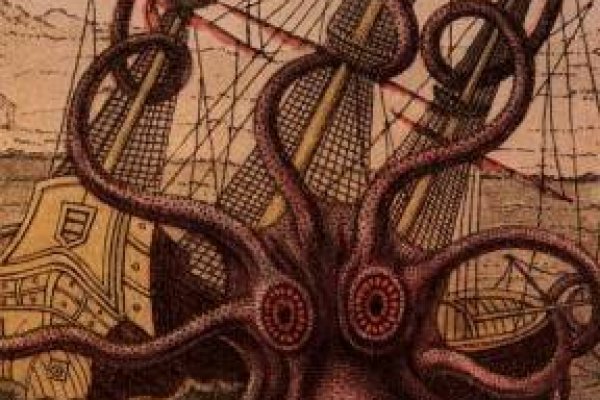 Kraken что это за магазин