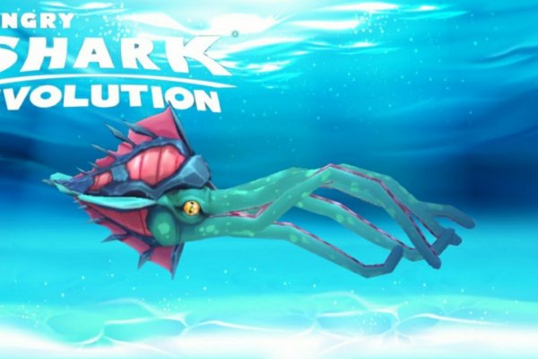Kraken что это за магазин