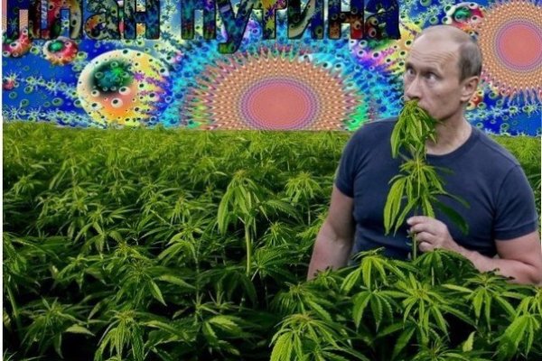 Аналог гидры