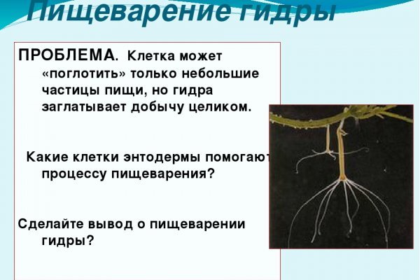 Забыл пароль от кракен