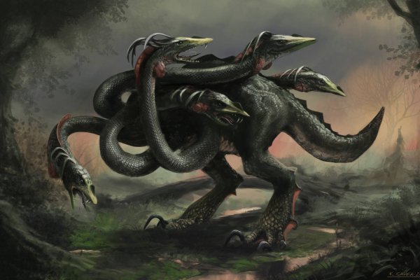Kraken at17