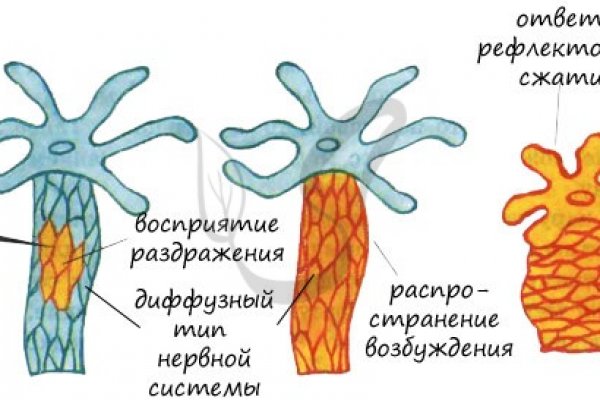 Кракен адрес даркнет
