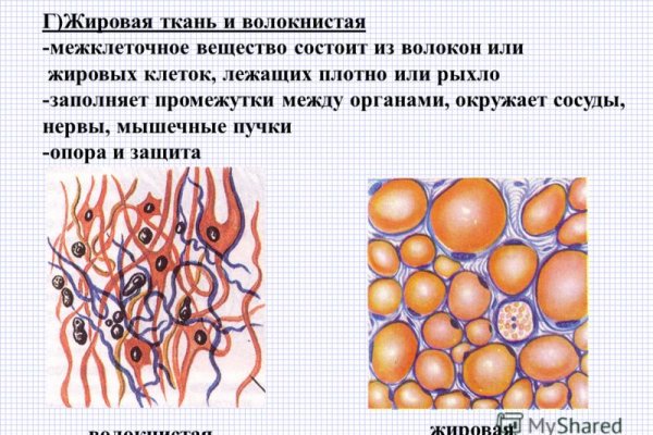 Ссылки на даркнет