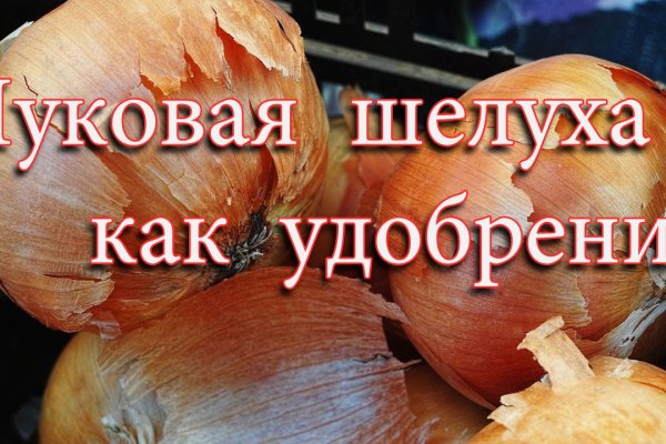 Что за приложение кракен