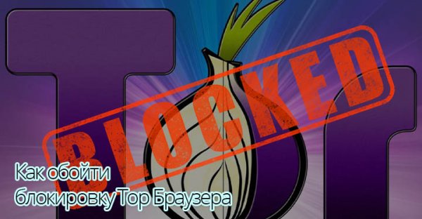 Ссылка на кракен onion kraken dark link