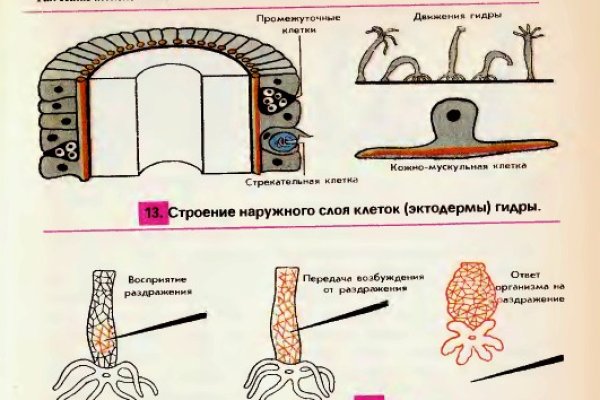 Кракен даркнет маркет ссылка тор